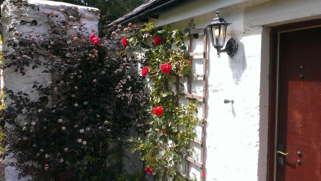 Whitestone Cottage Turnberry Cameră foto
